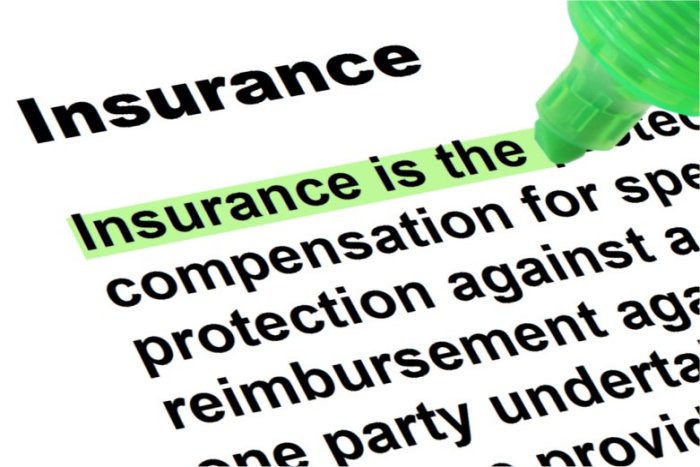 Insurance - Highlighted Words and Phrases