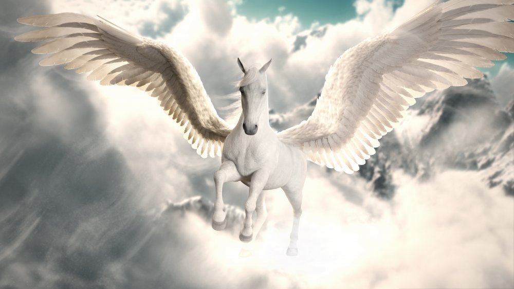 The Legend Of Pegasus Explained The Legend Of Pegasus Explained