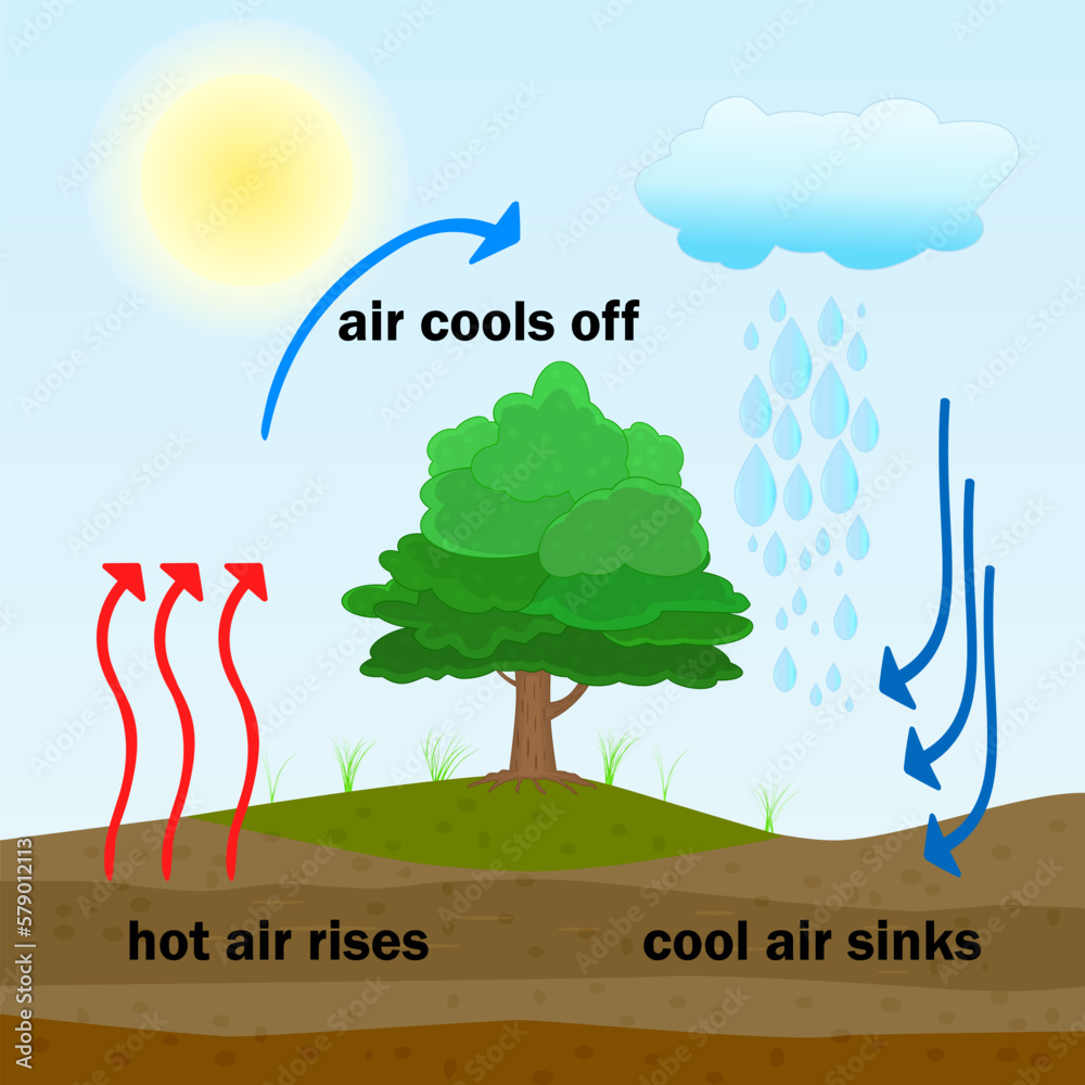 Stockvector Convection process diagram. Warm air rises and cool air ... Stockvector Convection process diagram. Warm air rises and cool air ...