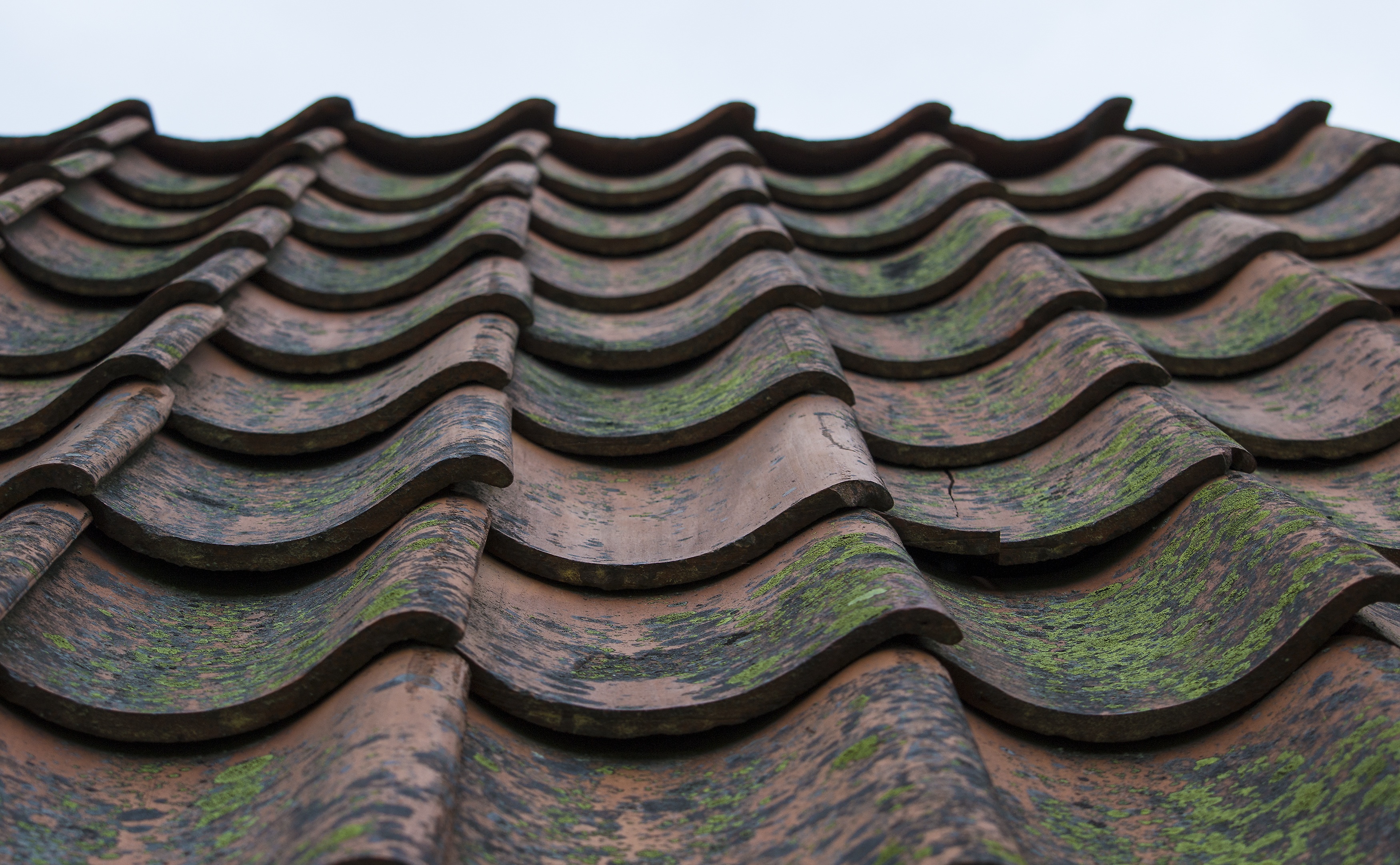 Tile Roof Background Free Stock Photo - Public Domain Pictures